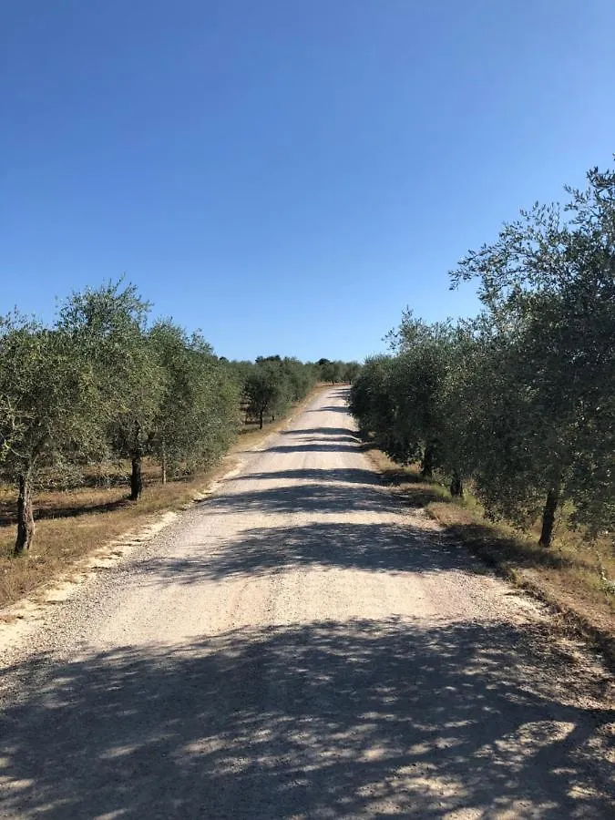 Podere La Casa Villa d'Arceno Italië