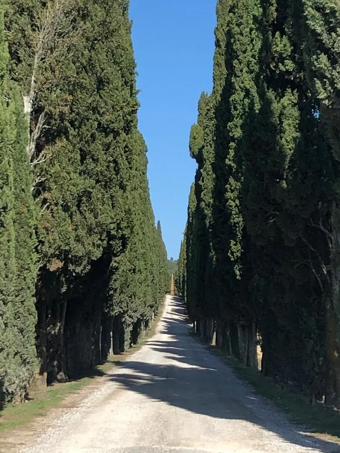 Landhaus Podere La Casa Villa d'Arceno