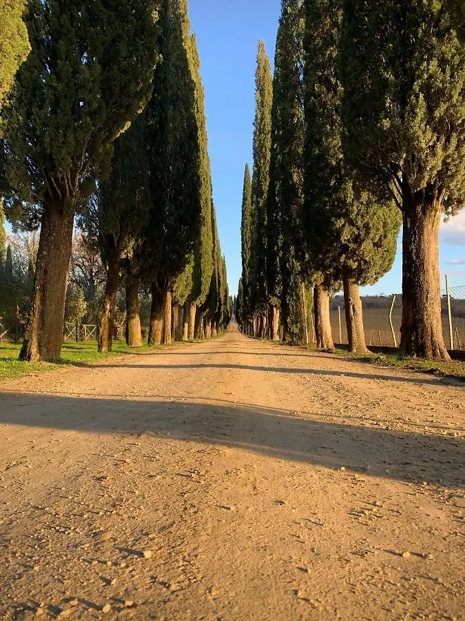 Podere La Casa Villa d'Arceno 0*,